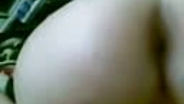 یک نوجوان خوک با گربه در فیلم سکس خارجی مادر پسر ویدیوی VR خود ارضایی می کند